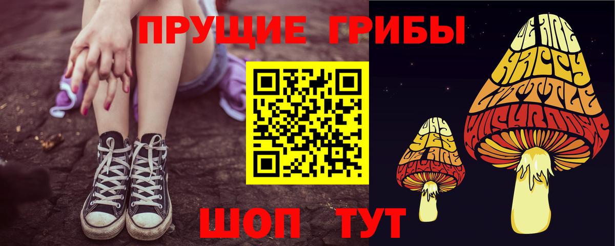 Псилоцибиновые грибы GOLDEN TEACHER  Вход с VPN  Псилоцибиновые грибы мухоморы  Моздок 
